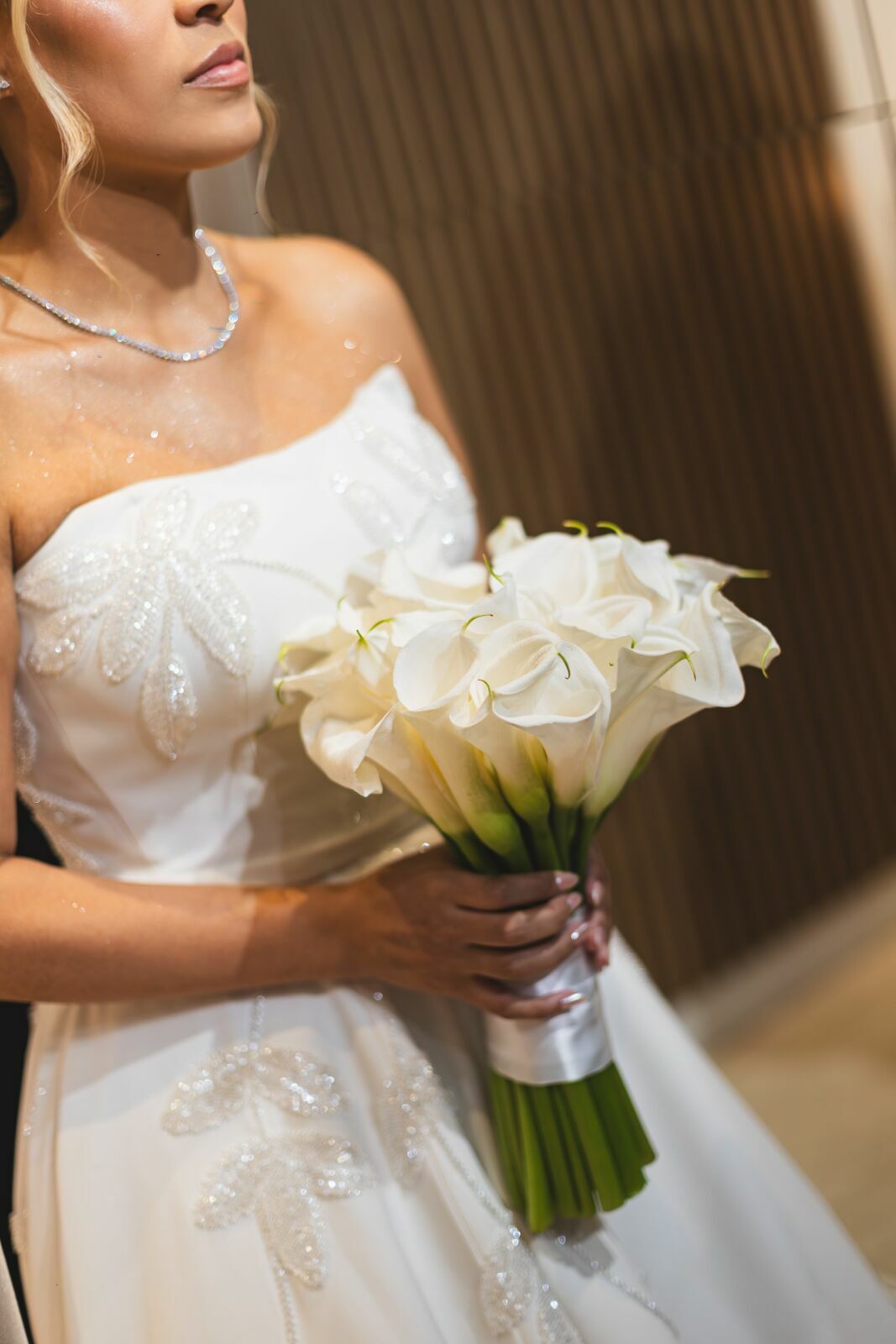 Foto Isabela + Fabio - Villa Castanieri - Mogi das cruzes - Imagem 29