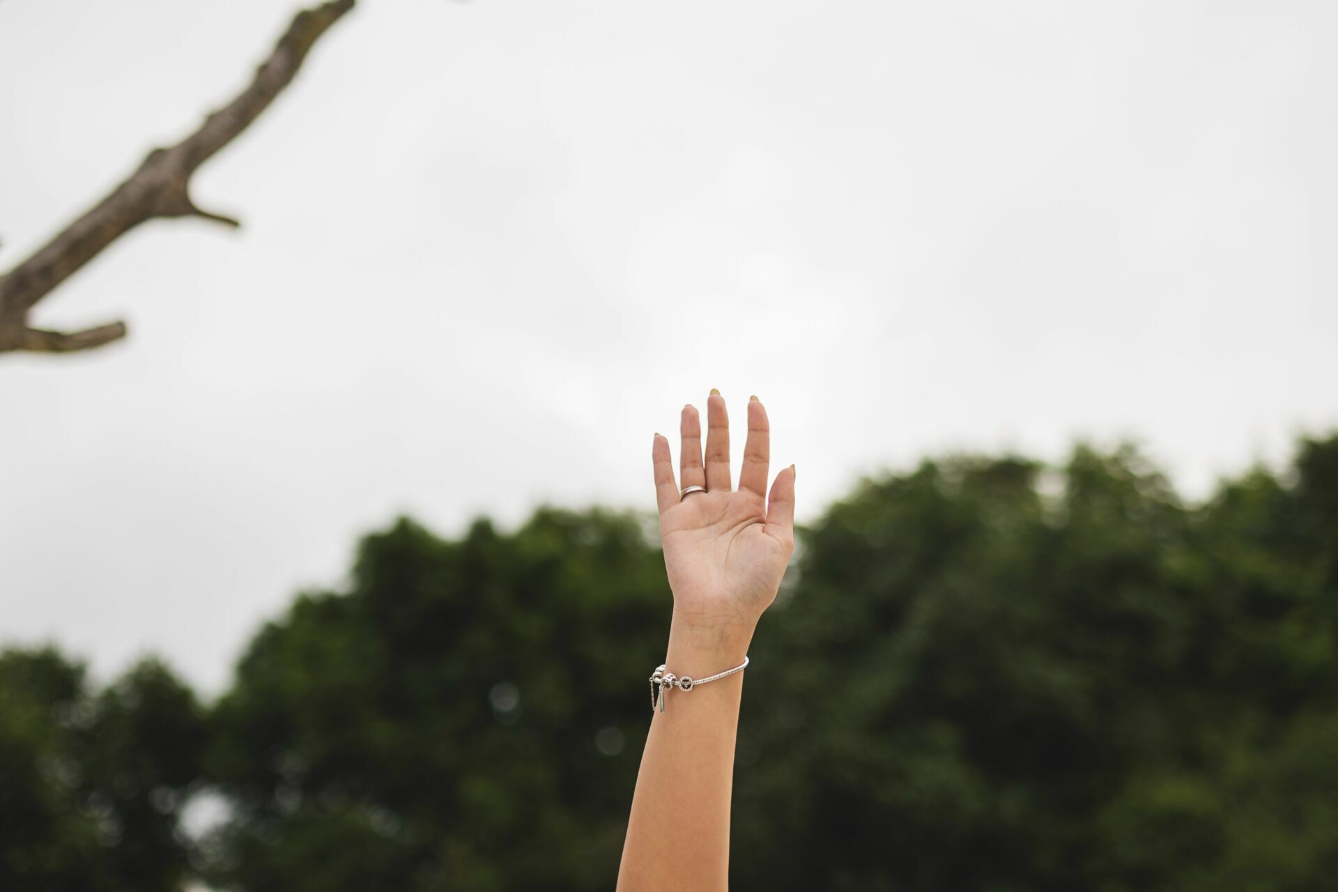 Foto Isabela + Fabio - Villa Castanieri - Mogi das cruzes - Imagem 1