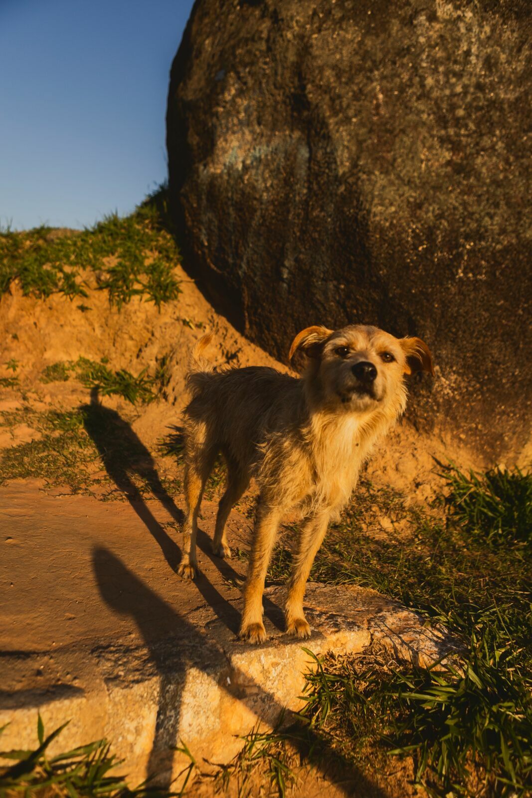 Foto Ensaio Isabela + Daniel - Mogi das Cruzes - SP - Imagem 7